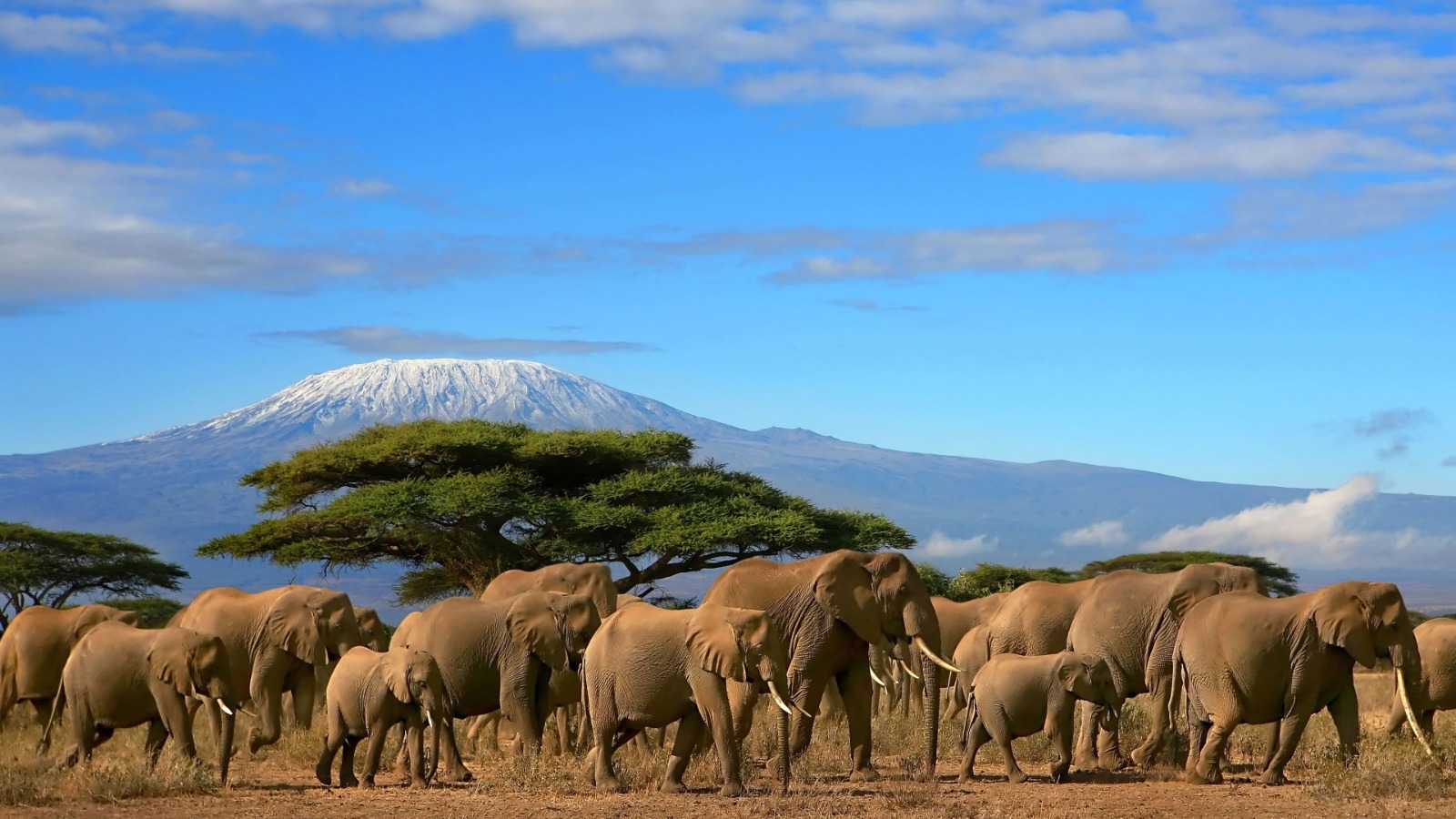 Day 02 : Nairobi - Amboseli National Park